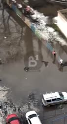 17402231163220.mp4