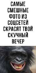 images (2).jpeg