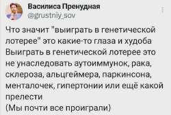 3llcifhb.webp