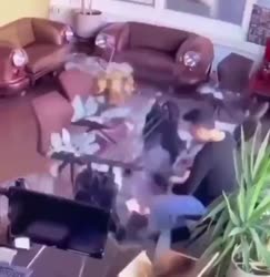174887567681714502.mp4