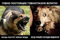 a1376ce2-cb70-43f7-adde-f8f4b843b0cf.png