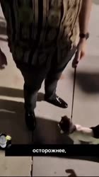 17488966022583.mp4