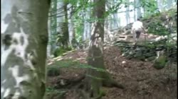Burzum - Ea, Lord of the Depths.mp4