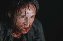 Infected14.webp