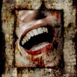 d1575b55-7022-4488-95b3-6d0ec574e960-profileimage-300x300.png