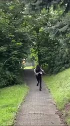 17489463272990.webm