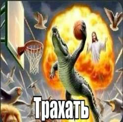 .jpg