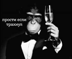 JzSSYdayV0.jpg