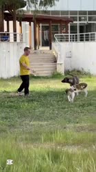 AQMNKrcMjaaMAw-Ehsj7McGTtc6s8NdjzVEgFjgQz3PGfsqt7qirjkkYyFXogPFvjlKly3tuBSTJCPZxsM5I81q1a3NeIHb4t70I6I.mp4