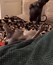 17489821553380.mp4