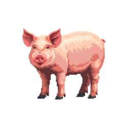 IMG1084.jpeg