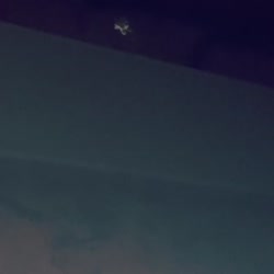 17417787798741.mp4