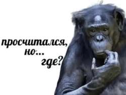 Без названия (1).webp