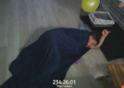 Screenshot 2025-06-05 032053.webp