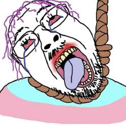 IMG7898.jpeg