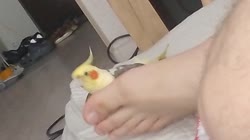 VID20250605085148.mp4