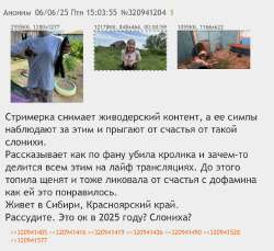 IMG4303.jpeg