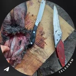 video (2).mp4
