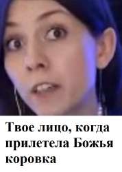 17274666557763.jpg