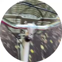 m.mp4