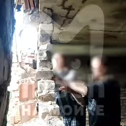 1685796954313.mp4