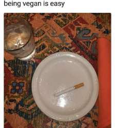 6762d0a221d99.jpeg