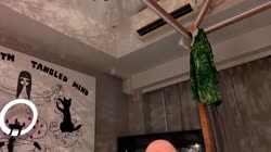 16635443318520.mp4
