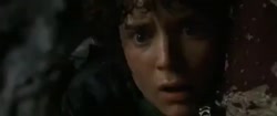 video222743282171437217-360.mp4