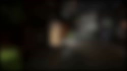 13132132.mp4