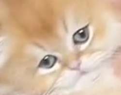 9999.png