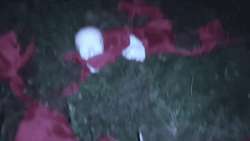 GIF20250629131831916.gif