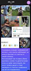 IMG4308.jpeg