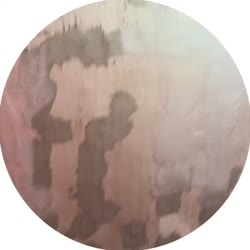 video (3).mp4
