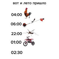 174922708568376526.mp4