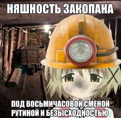 .jpg