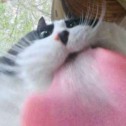 17453312168170.jpg
