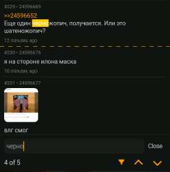 174922557838433247.jpg