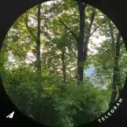 1749236355947.mp4