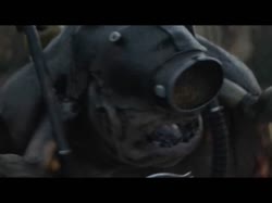 17492858535050.mp4
