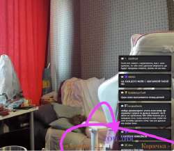 17492861839910.png
