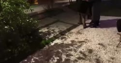 7404494744079681468.mp4