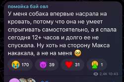 IMG2296.jpeg