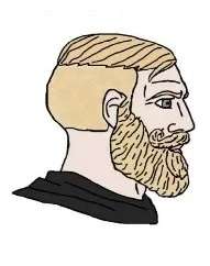 17493800550720.jpg