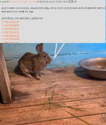 17492092808370.png