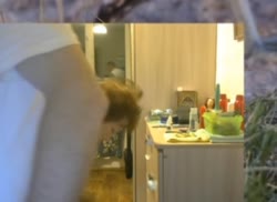 16149574000330.webm
