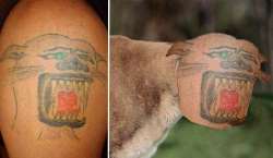 4a1cab249ecf26f2e1942bbcea02e8e4--weird-tattoos-fail-tattoos.jpg