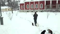 16025853766180.webm