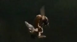 1749462372695.mp4