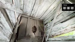 лизе.mp4