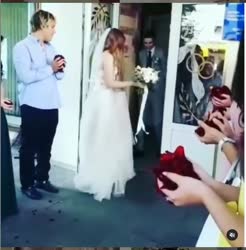 Хрюн на свадьбе.mov